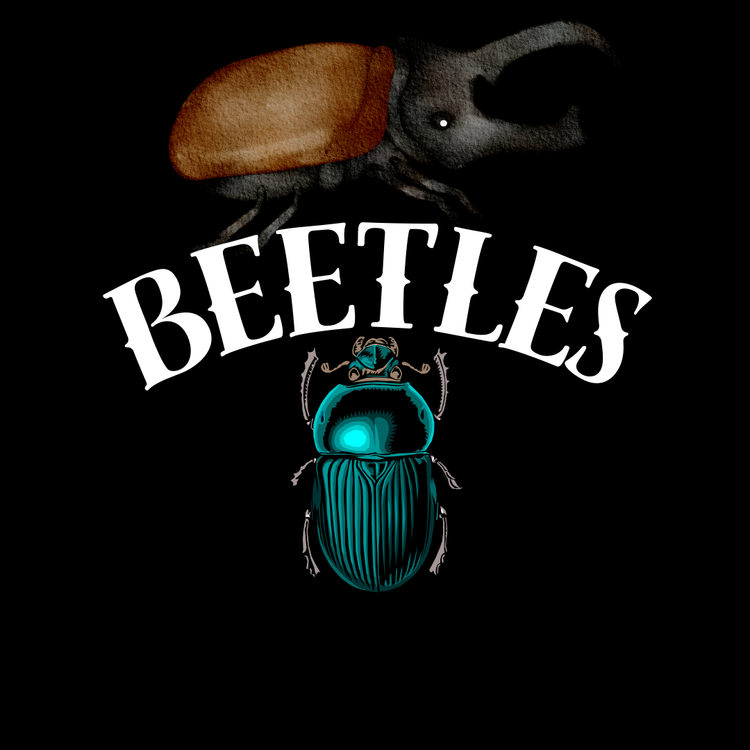 Beetles