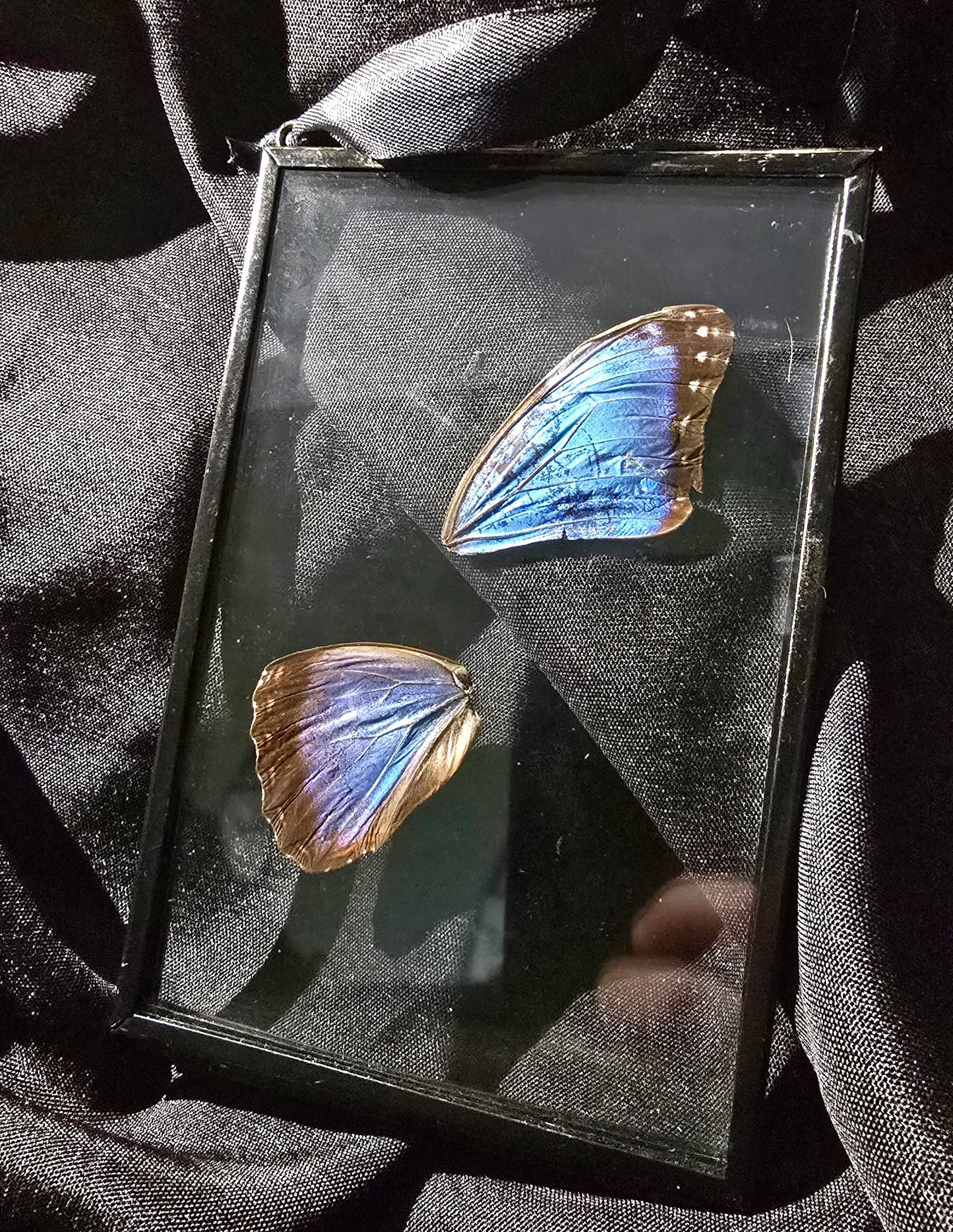 Glass 6x4" Wing Frames