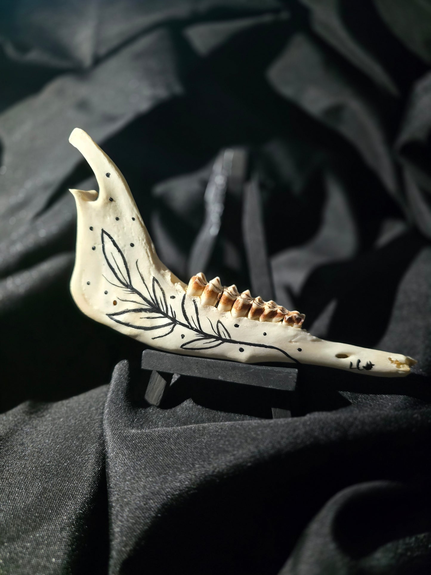 Hand-Painted Deer Jawbones