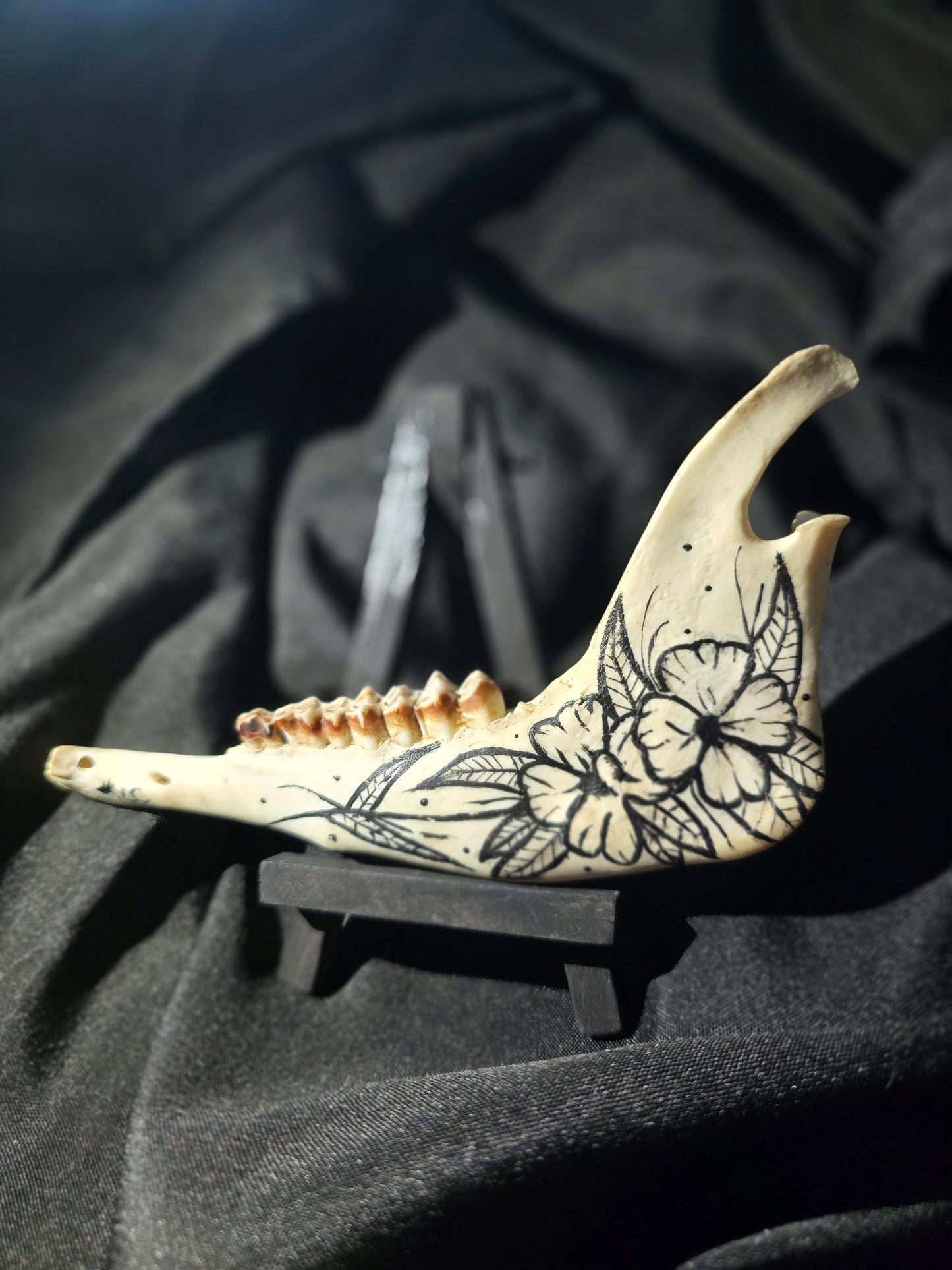 Hand-Painted Deer Jawbones