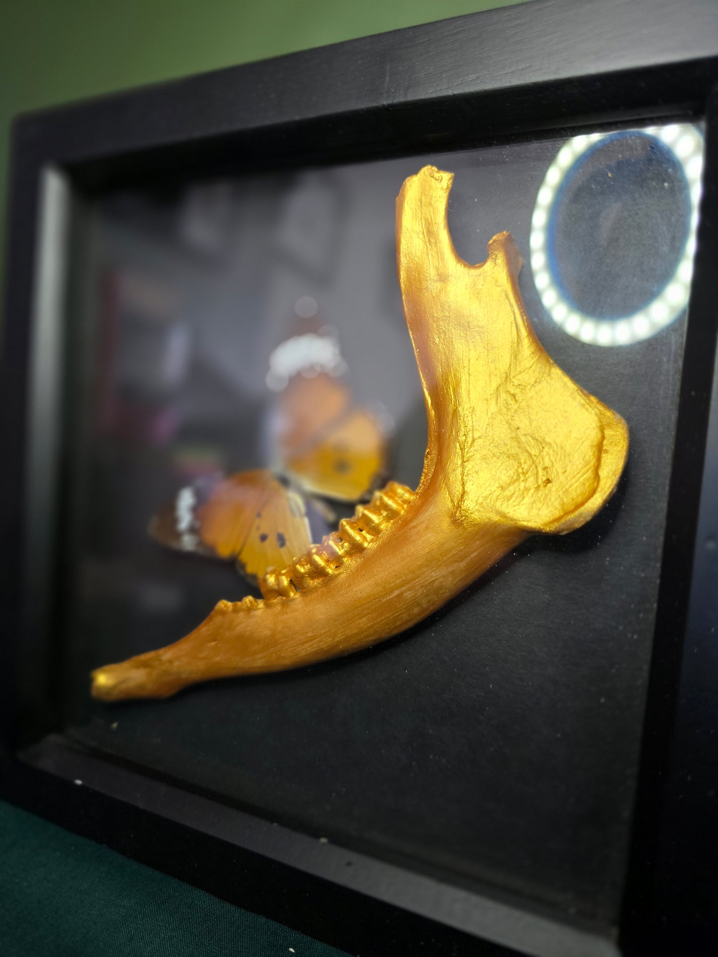 Deer Jawbone Frame