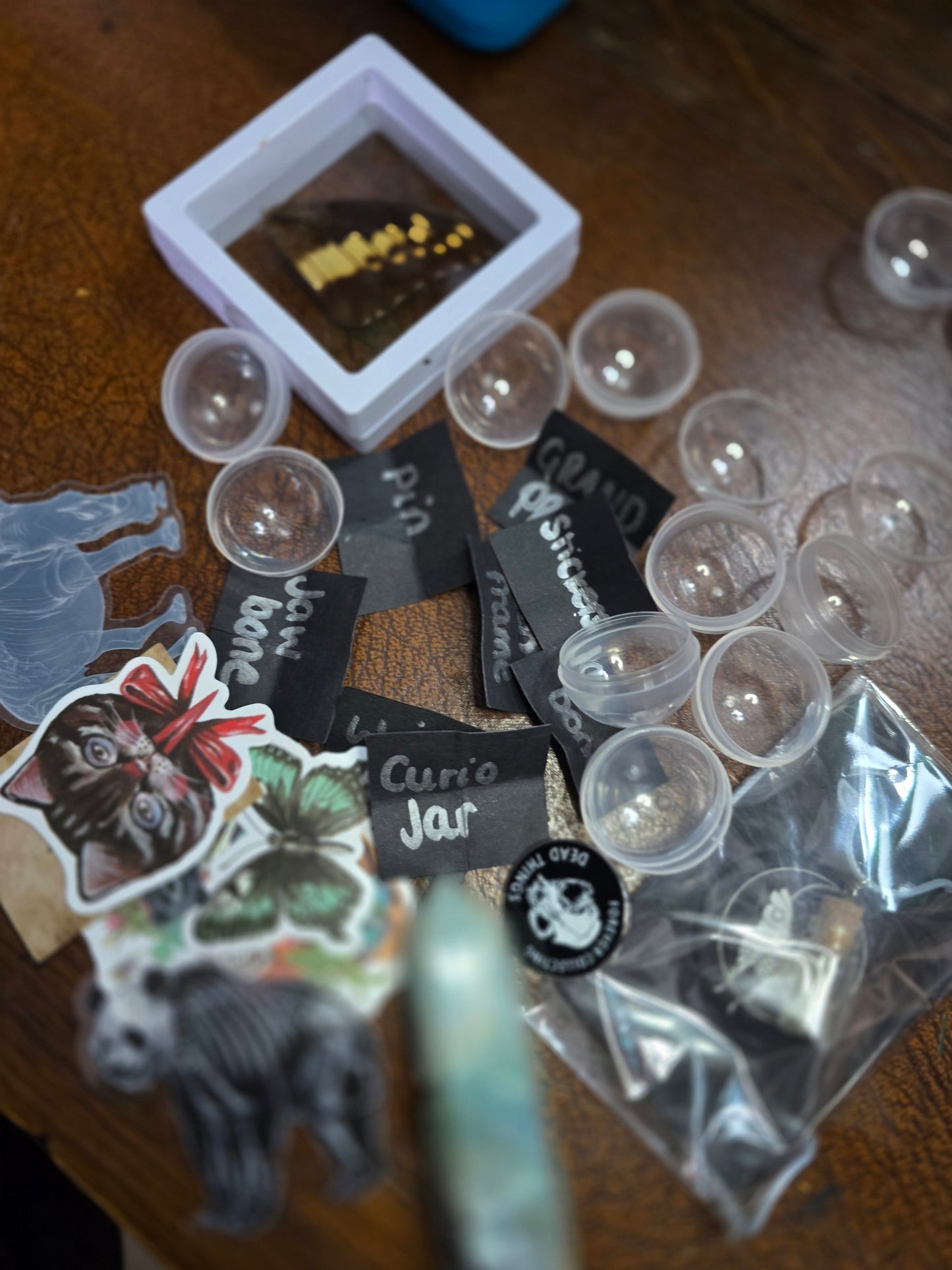 Oddities Capsules
