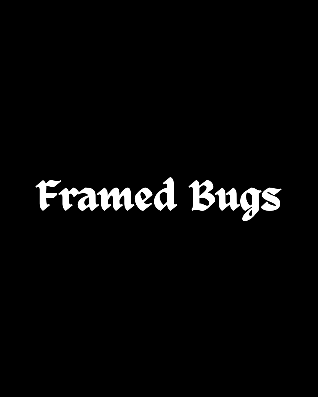 Framed Bugs