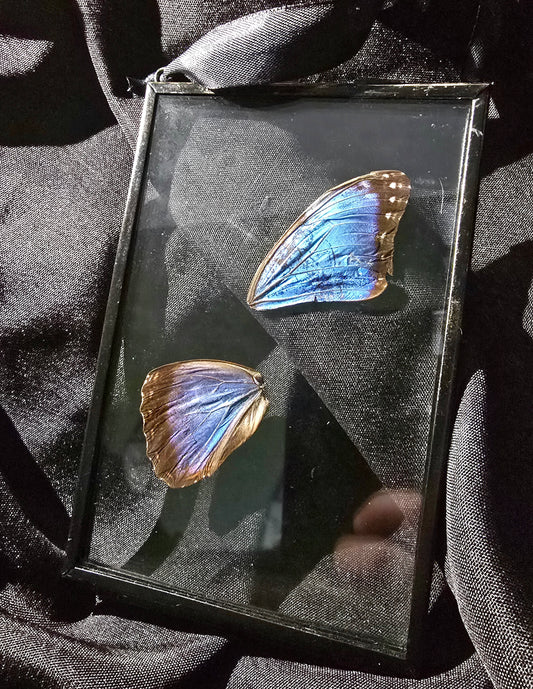 Glass 6x4" Wing Frames
