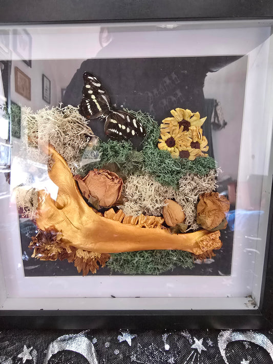 Deer Jawbone Frame